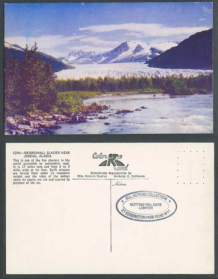 USA Alaska Old Postcard Mendenhall Glacier near Juneau, Snowy Mountains Panorama