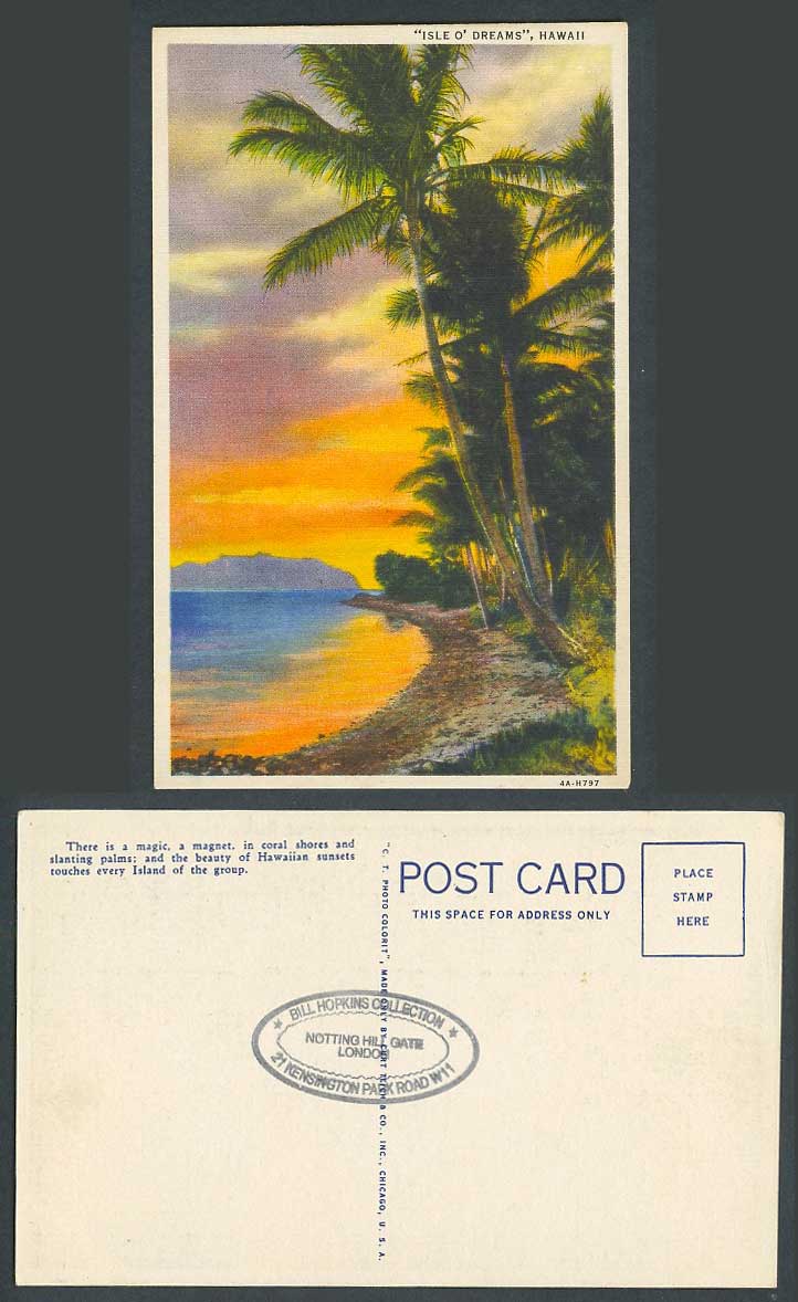 Hawaii Isle of Dreams Hawaiian Islands USA Old Colour Postcard Palm Trees Sunset
