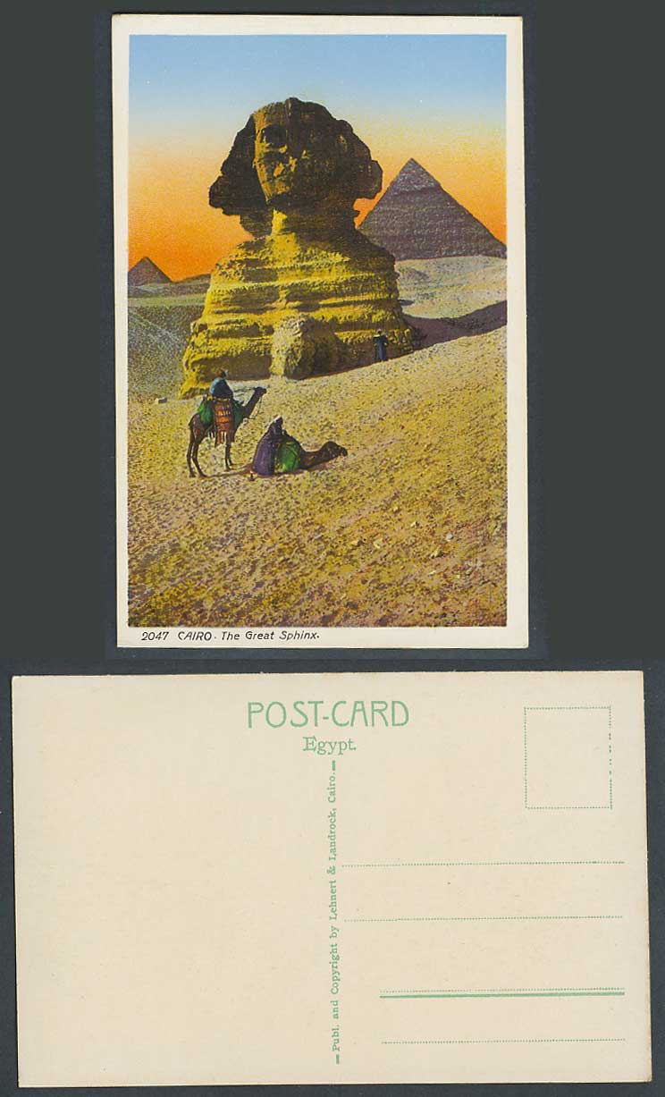 Egypt Old Colour Postcard Cairo The Great Sphinx & Pyramids, Camels Camel Desert