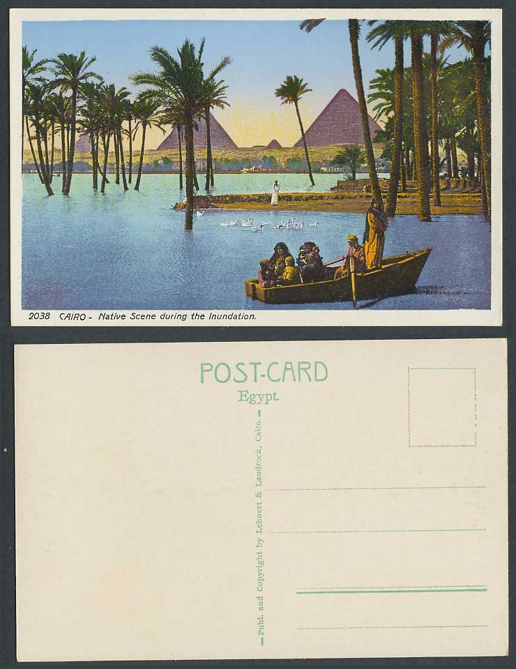 Egypt Old Postcard Cairo Native Scene Inundation Flood Pyramids Boat Ducks Birds