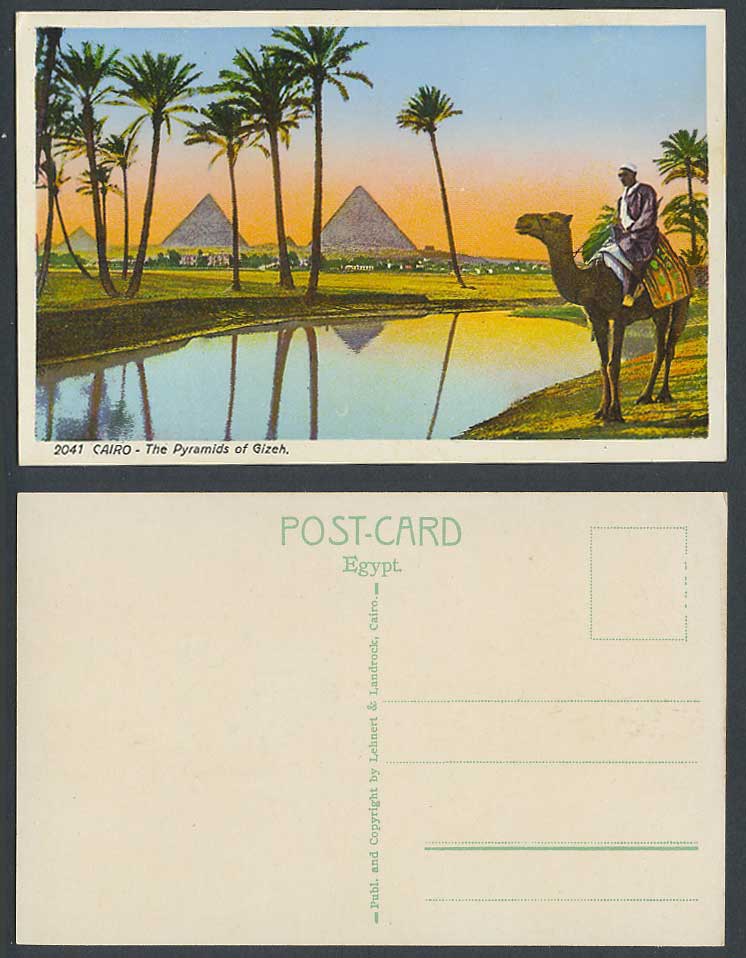 Egypt Old Colour Postcard Cairo The Pyramids of Gizeh Giza Camel Rider Palm Tree