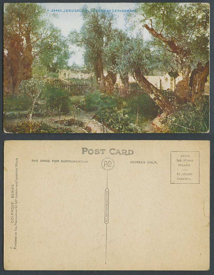 Palestine Old Colour Postcard Jerusalem Garden of Gethsemane, Israel, Photochrom