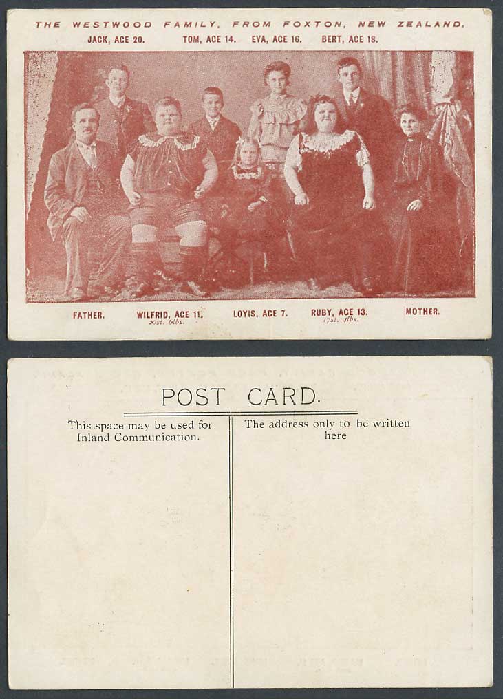 New Zealand Old Postcard The Westwood Family from Foxton Manawatu-Wanganui N.Is.