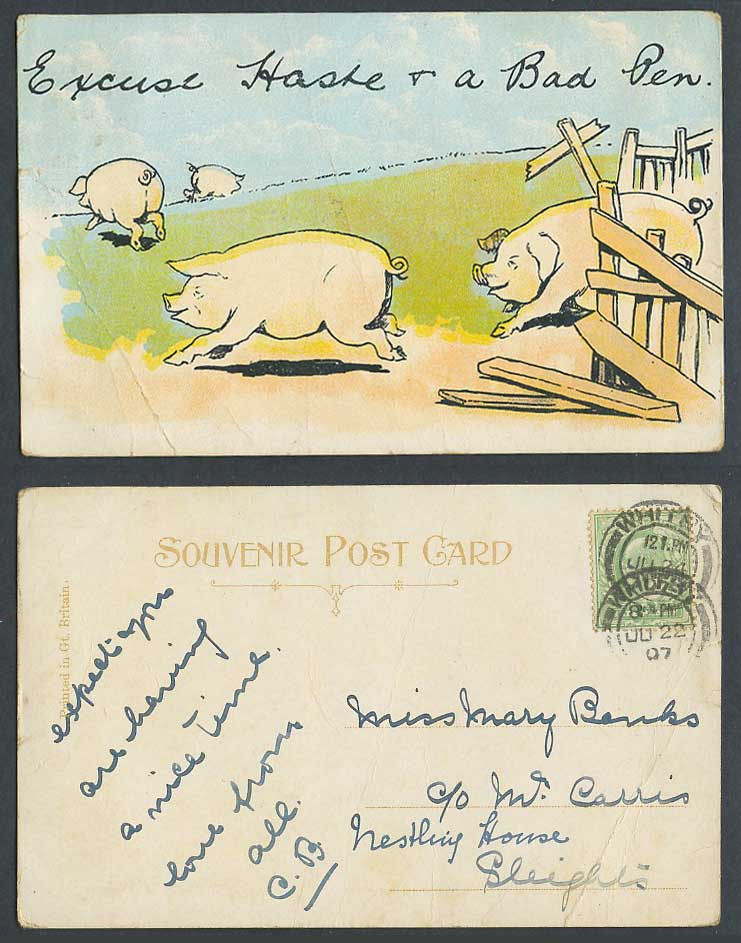 Pig Pigs Comic Humour, Excuse Haste & a Bad Pen 1907 Old Postcard Piglet Piglets