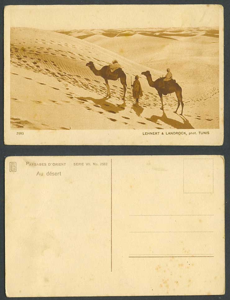 Tunisia Old Postcard Au desert Sand Dunes Camels Native Camel Riders Ethnic Life