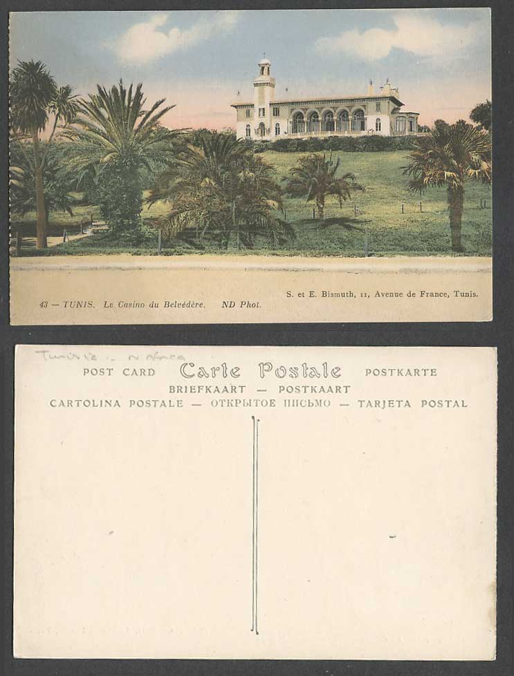 Tunisia Old Colour Postcard Tunis Le Casino Le Belvedere, Palm Trees Garden Park