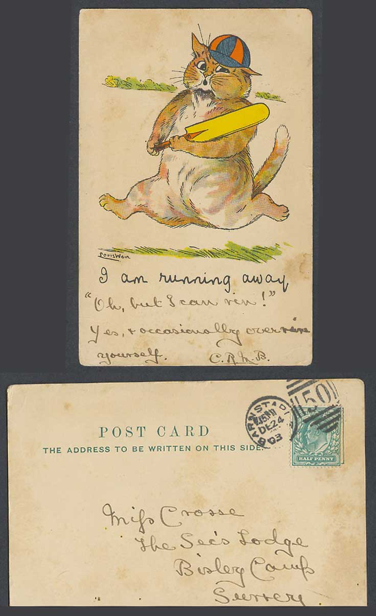Louis Wain Artist Signed Cat Kitten Cricket, I am Running Away 1903 Old Postcard