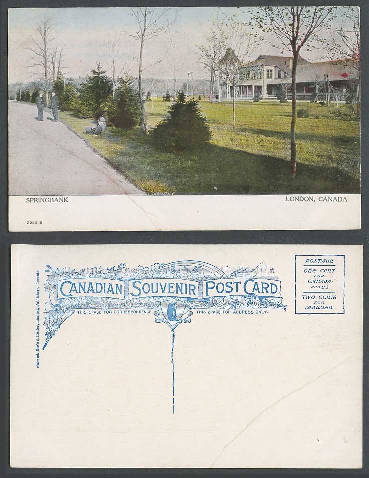 Canada Old Colour Postcard Springbank London Ontario, Street Scene, Men Panorama