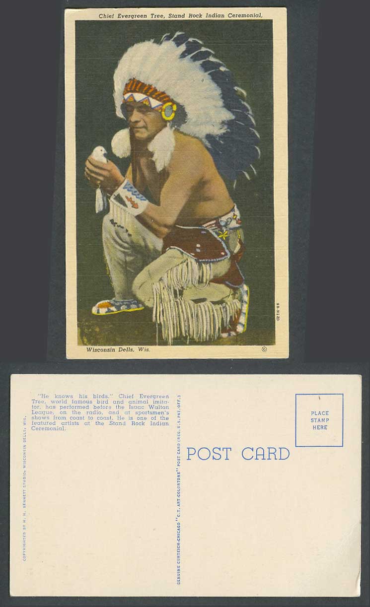 American Red Indian Chief Evergreen Tree Bird Stand Rock Ceremonial Old Postcard