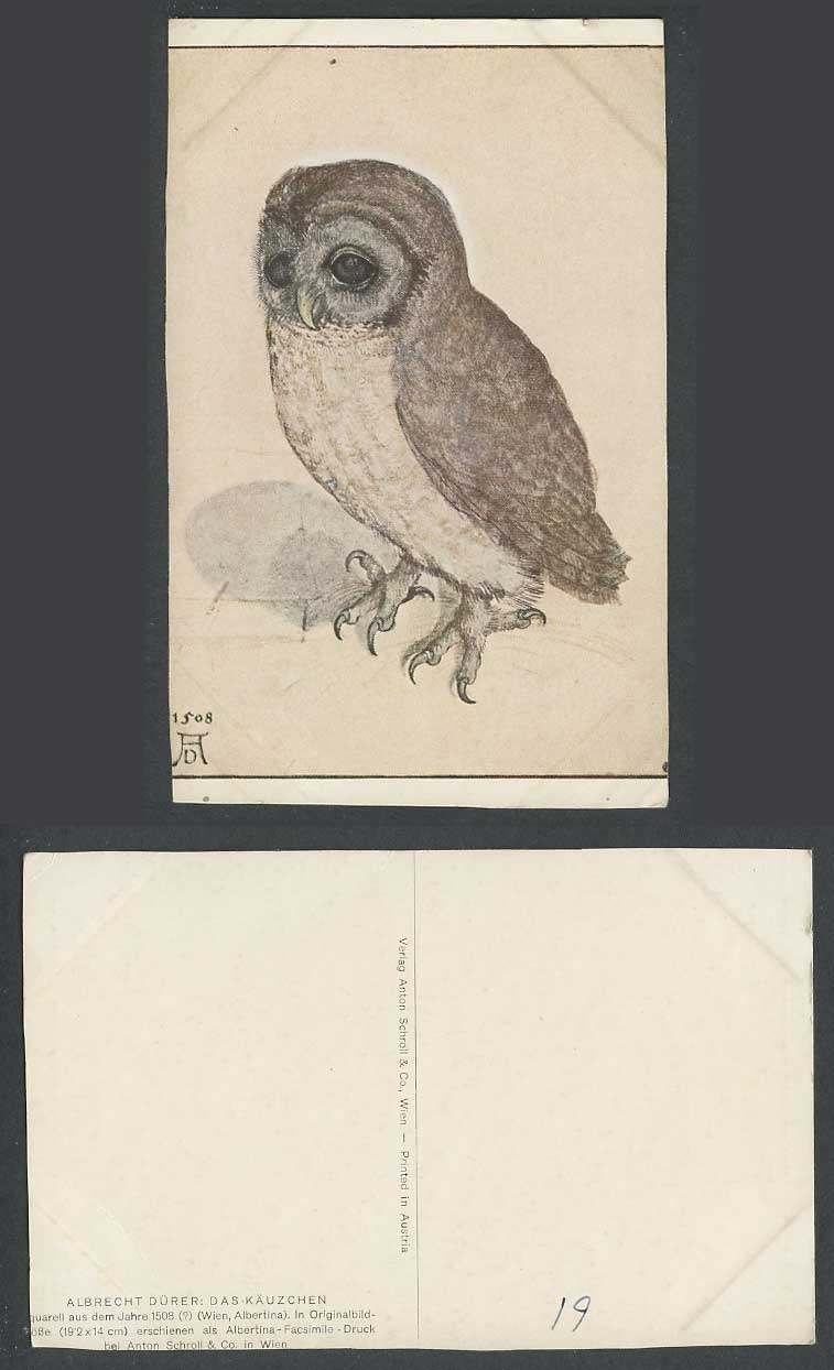 Little Owl Bird 1508 AD Albrecht Duerer Artist Signed Anton Schroll Old Postcard