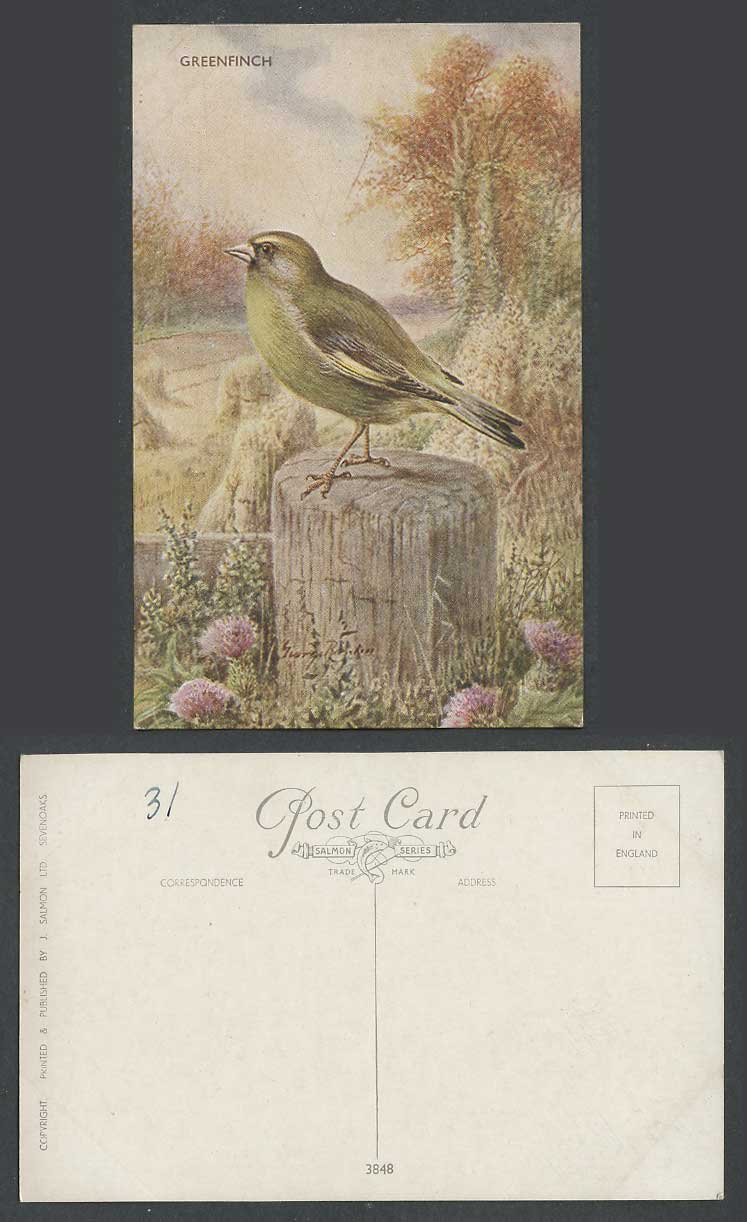 Greenfinch Bird, Thistle Flowers George Rankin Artist Signed Old Postcard Autumn