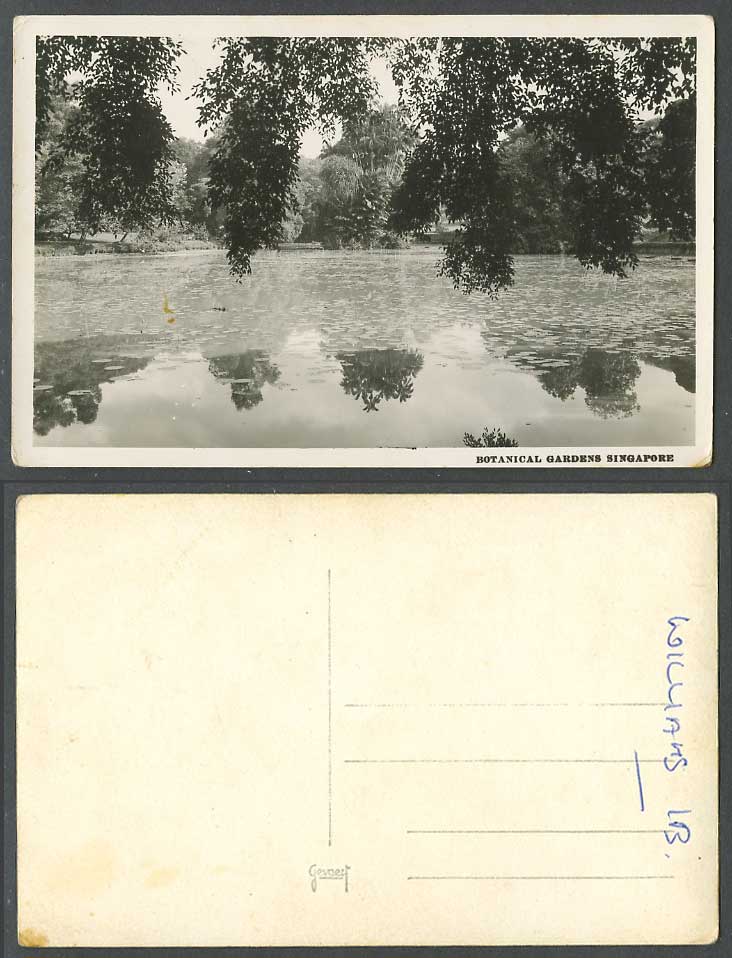 Singapore Old Real Photo Postcard Botanical Garden Botanic Gardens, Lake & Trees