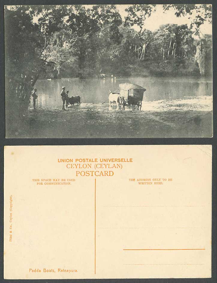 Ceylon Old Postcard Padda Boats, Ratnapura, Native Bullock Cart Crossing a River