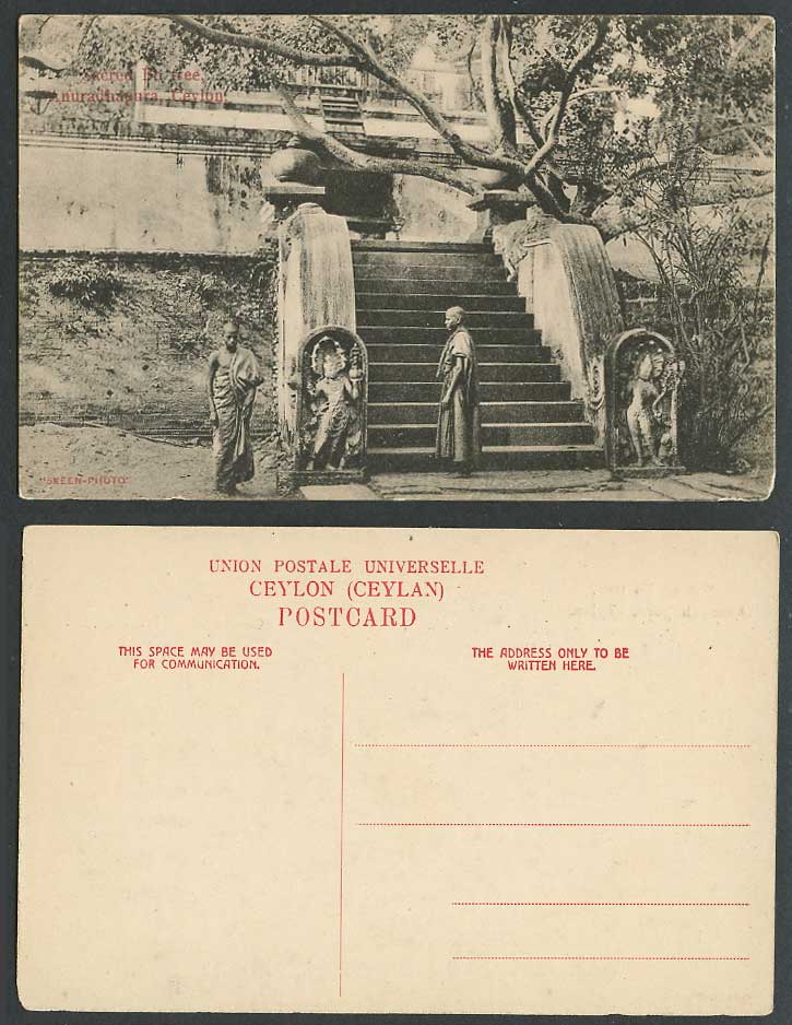 Ceylon Old Postcard Sacred Bo Tree Anuradhapura Ruins Temple Buddhist Monks Step