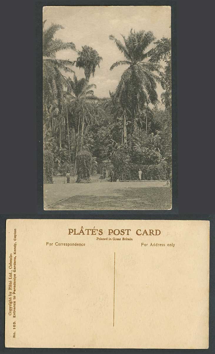 Ceylon Old Postcard Entrance Gate to Peradeniya Gardens Kandy, Palm Trees, Guard