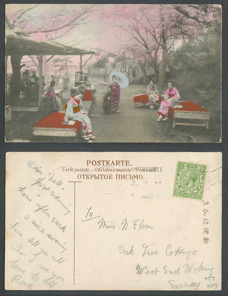 Japan 1918 Old Hand Tinted Postcard Geisha Girls Cup of Tea near Cherry Blossoms