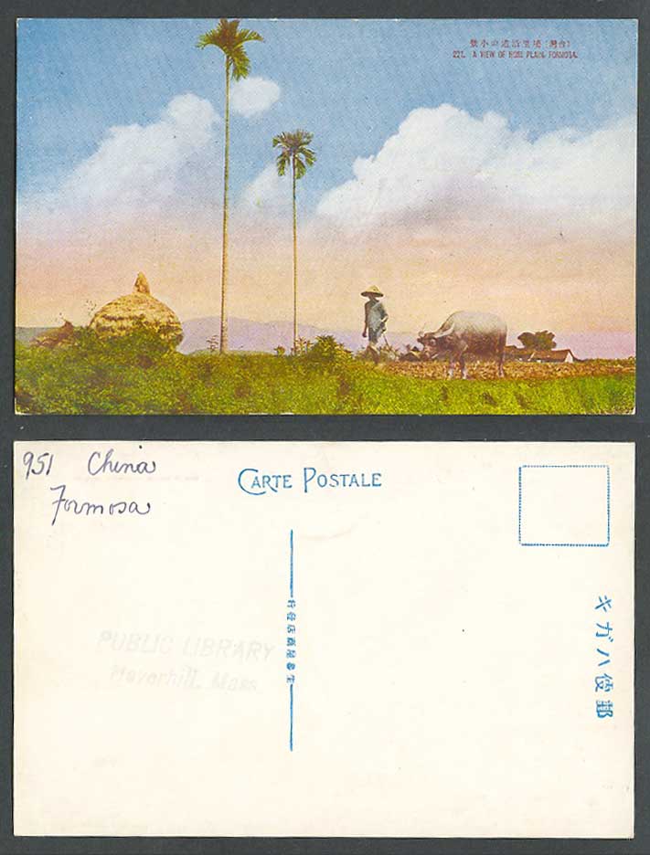 Taiwan Formosa China Old Postcard Puli Hori Plain, Farmer Buffalo, Palm Trees 埔里
