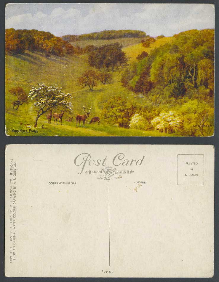 A.R. Quinton Old Postcard Arundel Park Deer Stag Hills Panorama West Sussex 2049