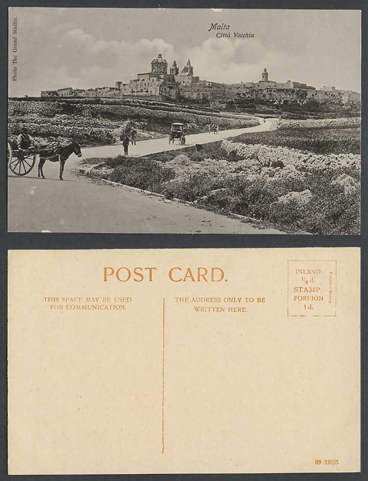 Malta Vintage Postcard Citta Vecchia Old City Panorama Donkey Cart, Grand Studio