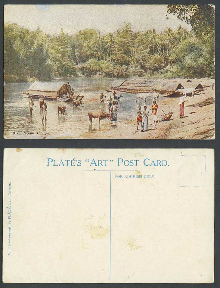Ceylon Old Colour Postcard River Scene, Cattle Natives Sampans Boats Plate's ART