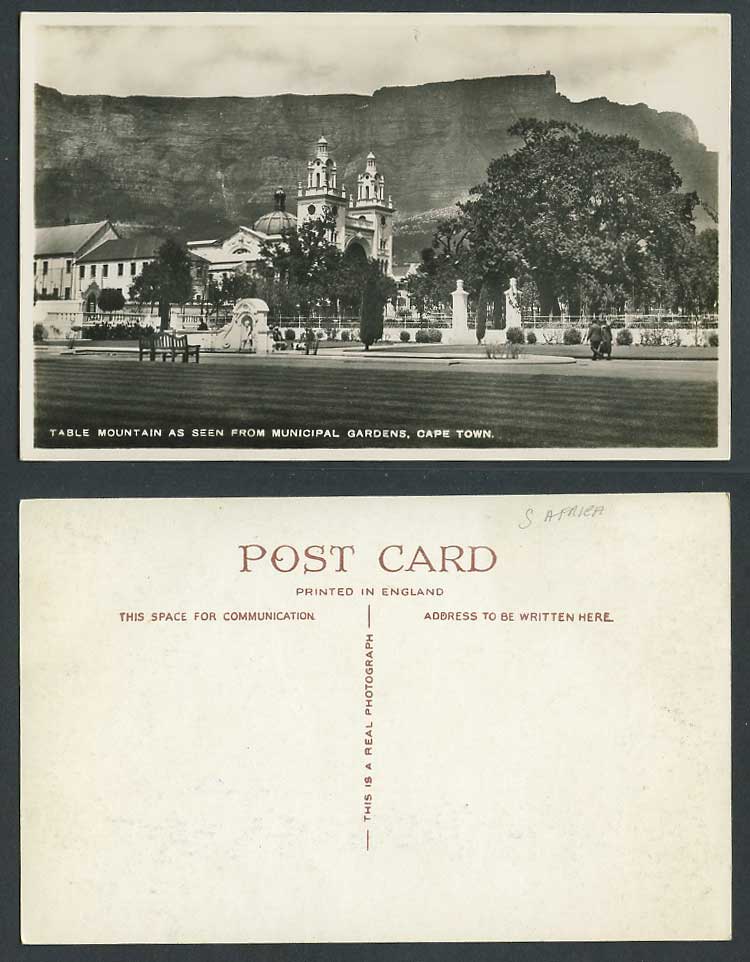 South Africa Old R Photo Postcard Table Mountain from Municipal Garden Cape Town