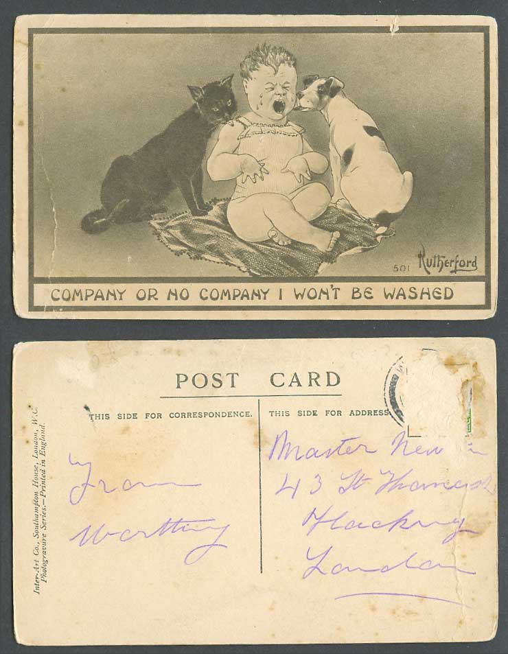 Rutherford Old Postcard Pet Cat Dog Licking Girl Company or No I won't be Washed