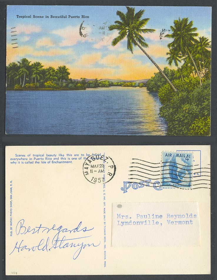 Porto Rico 1957 Old Postcard Tropical Scene in Beautiful Puerto Rico Palm Trees