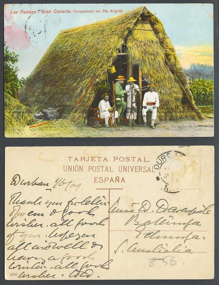 Spain Las Palmas Gran Canaria Campesinos Sta. Brigida, Farmers 1909 Old Postcard