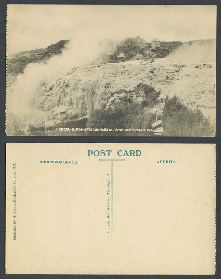 New Zealand Old Postcard Kereru & Pohutu Geysers, Rotorua Whakarewarewa H. Carew