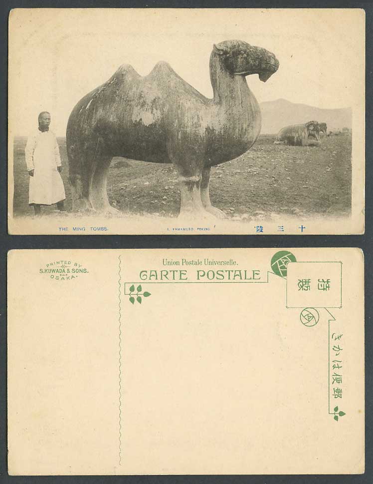 China Old Postcard The Ming Tombs Stone Camel Elephant Chinaman Chinese Man 明十三陵