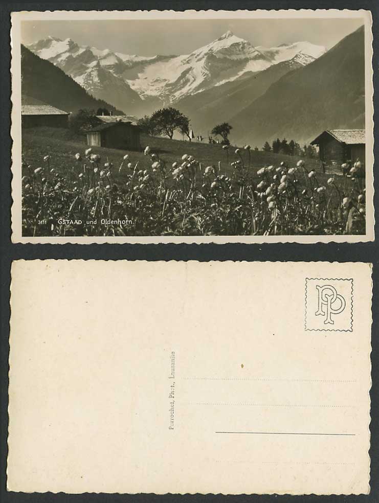 Switzerland Old Real Photo Postcard Gstaad und Oldenhorn Flowers Snowy Mountains