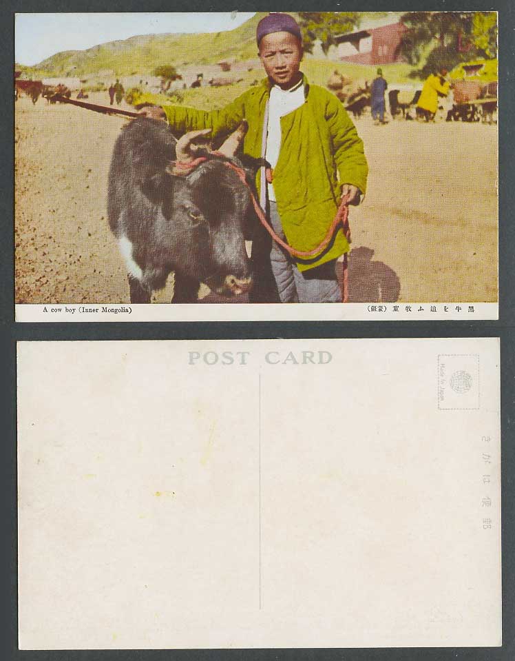 China Old Postcard Inner Mongolia Native Mongolian Cow Boy Cowherd Calf 黑牛追牧童 蒙彊