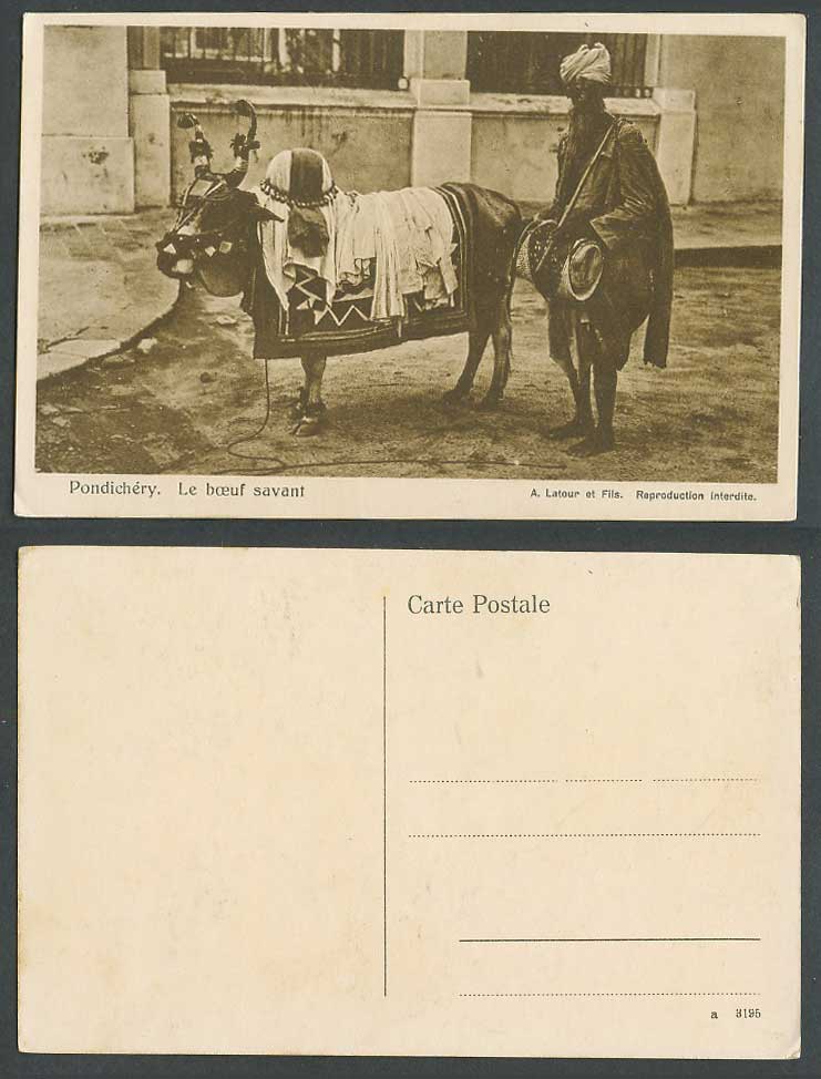 India Old Postcard Pondicherry Pondichery, Le Boeuf savant Beef Scientist Cattle