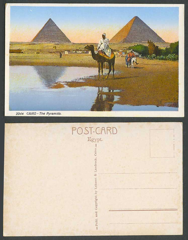 Egypt Old Colour Postcard Cairo The Pyramids Native Camel and Donkey Riders 2044