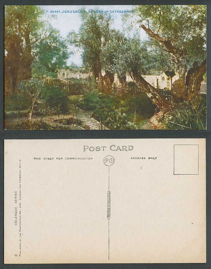 Palestine Old Colour Postcard Jerusalem, Garden of Gethsemane, Holy Land, Israel