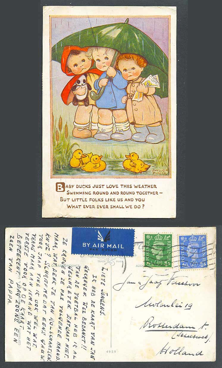 Phyllis M Purser Old Postcard Giant Panda, Baby Ducks Ducklings Swimming in Rain