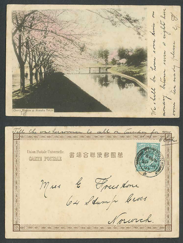 Japan 1904 Old Hand Tinted Postcard Cherry Blossoms Akasaka Tokyo Bridge & River