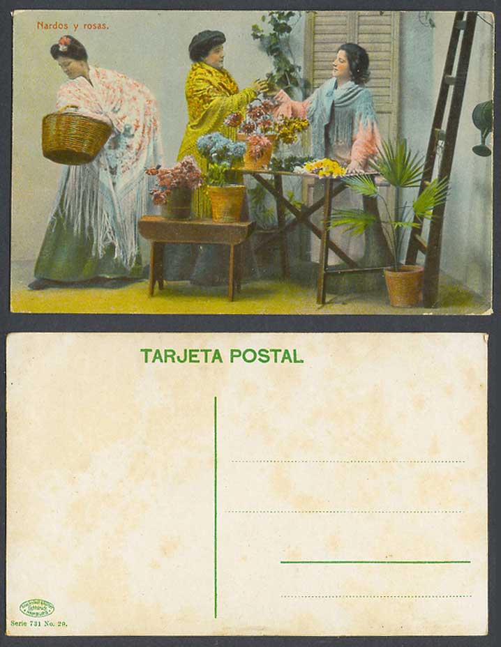 Spain Old Colour Postcard Nardos Y Rosas Rose Flower Pots Spanish Women Costumes