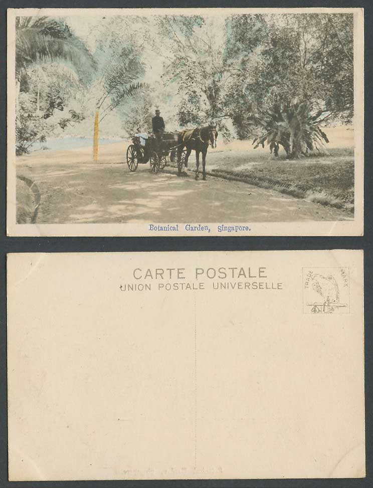 Singapore Old Hand Tinted Postcard Botanical Garden Horse Cart Driver Palm Trees