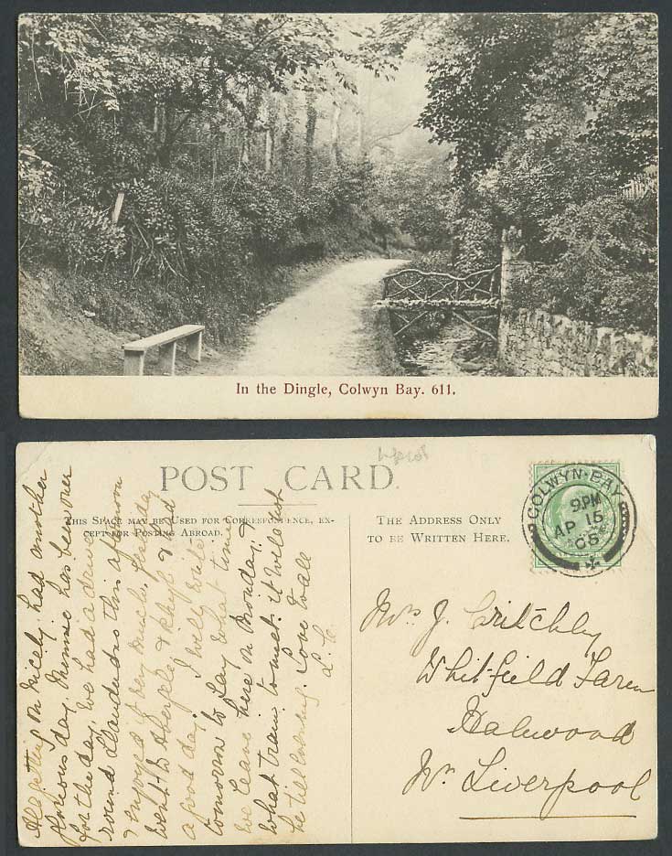 Colwyn Bay, In The Dingle, Bridge River Road Wood Forest Wales 1905 Old Postcard