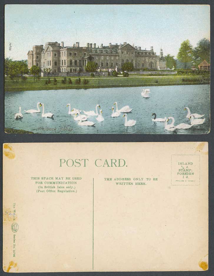 Welbeck Abbey Church Swans Birds Nottinghamshire Old Colour Postcard Swan Bird