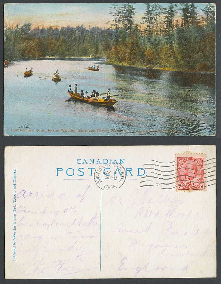 Canada 2c 1906 Old Colour Postcard Lumbermen go to Woods, Sturgeon River Ontario