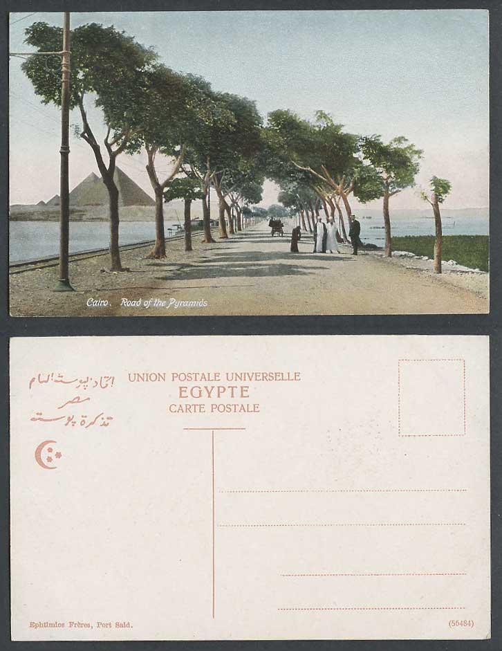 Egypt Old Colour Postcard Cairo Road of The Pyramids Tree-Lined Street Pyramides