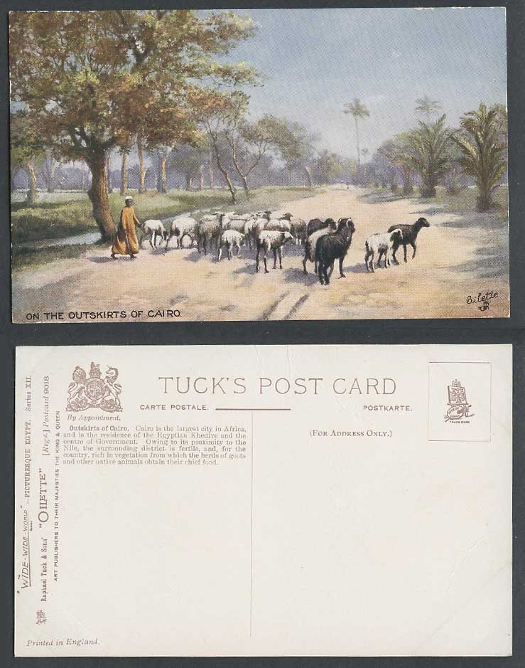 Egypt Old Tuck's Oilette Postcard On The Outskirts Cairo Shepherd Goats Sheep Rd