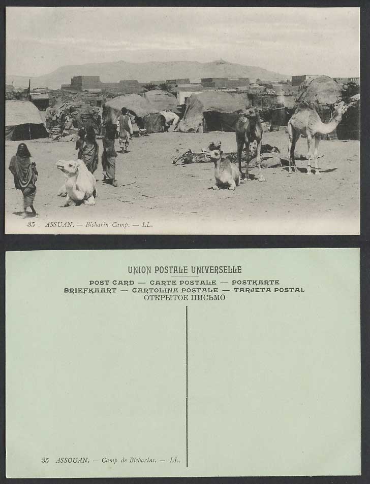 Egypt Old Postcard Assuan Assouan Aswan Bishareen Bisharin Camp & Camels L.L. 35