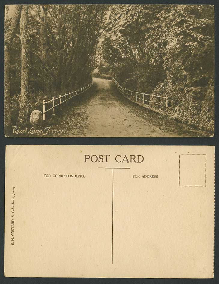 Jersey Old Postcard Rozel Lane, Tree-Lined Street Road Path Scene, S.H. Costard