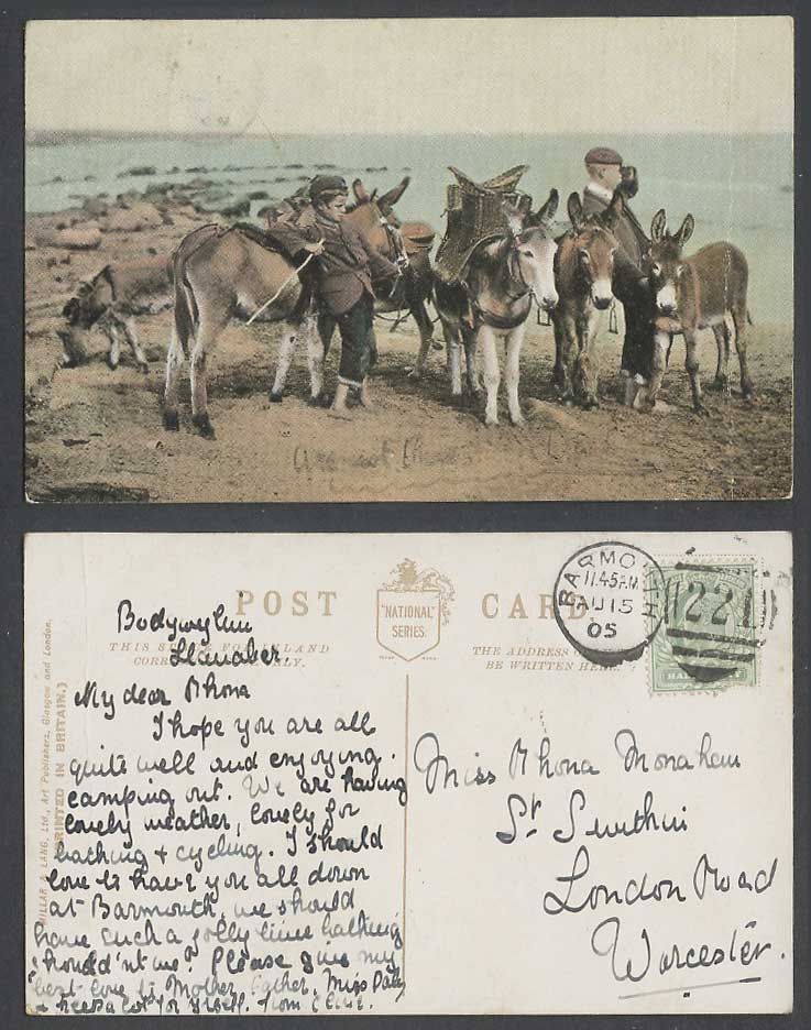 Donkey Boys Donkeys on Beach 1905 Old Colour Postcard Children, Seaside Panorama
