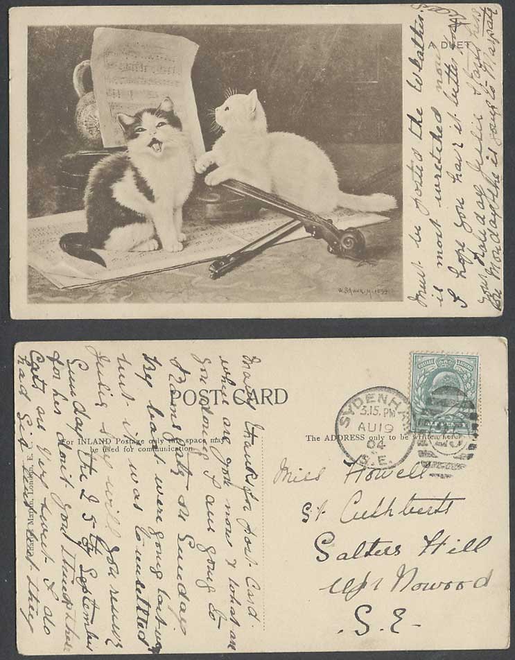 W. Schwarm 1899 Artist Signed Cats Kittens A Duet 1904 Old Postcard Violin Music