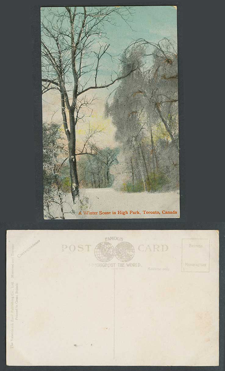 Canada Old Colour Postcard A Winter Scene in High Park, Toronto, Snowy Landscape