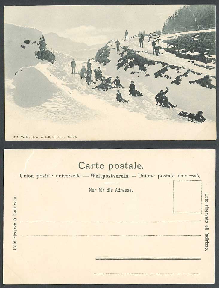 Switzerland Swiss Old Postcard Skiers Skiing Sledding Tobogganing, Winter Sports